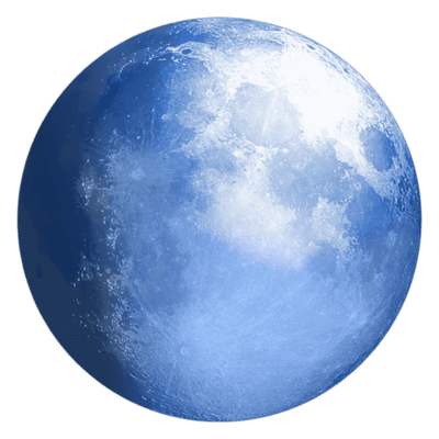 Browser logo for pale-moon/pale-moon.png